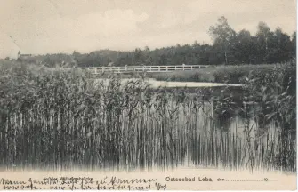 Rys 54: most na stawku 1911.jpg [1661227 bajtów]